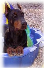Tub
